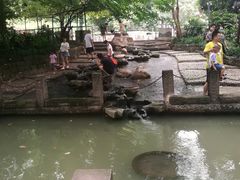 -成都市活水公园