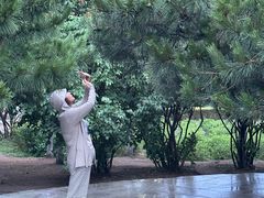 -丁香湖公园