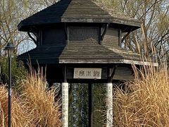 -渤公岛生态公园