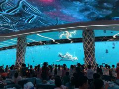-瑞德姆美人鱼海底演艺主题餐厅(亚龙湾店)