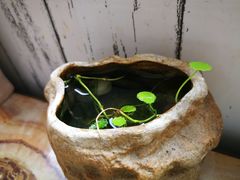 -弘法寺斋菜馆素食