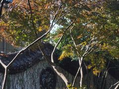 -杭州半山国家森林公园