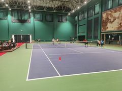 -齐动力网球(星河湾基地店)