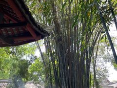 -成都杜甫草堂博物馆