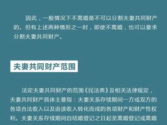 -上海领胜律师团队·法律咨询