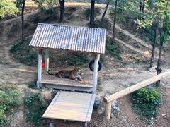 -石家庄市动物园