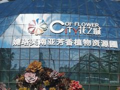 -花之城