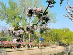 -海棠花溪(元大都城垣遗址公园)