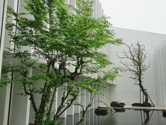 -中国宣纸文化园