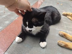 -上海财经大学(国定路校区)