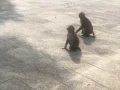 -重庆云阳龙缸景区