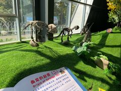 -诸城市恐龙博物馆