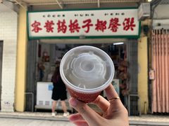 -洪馨椰子