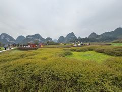 -靖西鹅泉风景区