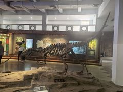 -自贡恐龙博物馆