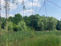 -梁鸿国家湿地公园