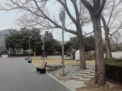-郑州植物园