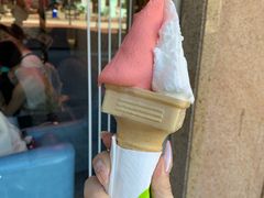 -柠檬车露(卖草地店)