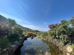 -徂徕山森林康养度假谷温泉