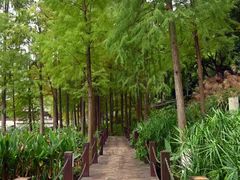 -重庆彩云湖湿地公园