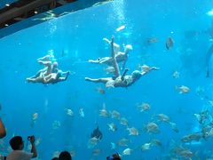 -瑞德姆美人鱼海底演艺主题餐厅(亚龙湾店)