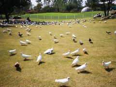 -南通洲际绿博园