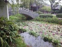 -堤角公园
