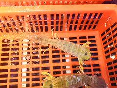 -79号渔船海鲜饭店(华强北店)