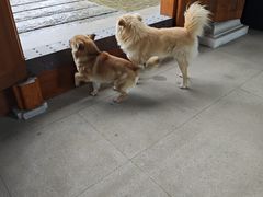 -法华学问寺-停车场