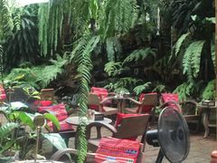 -Fern Forest Cafe