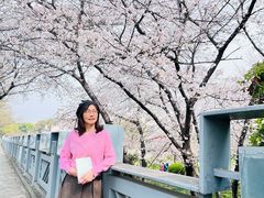 -嘉定紫藤园