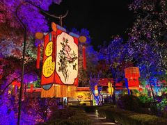 -白家大院·王府宫廷菜(苏州街店)
