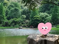 -桃花岭景区