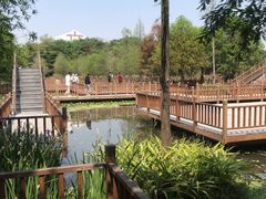 -五缘湾湿地公园