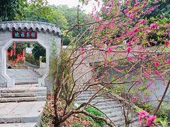 -广州市帽峰山景区