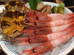-一本魅·日式料理