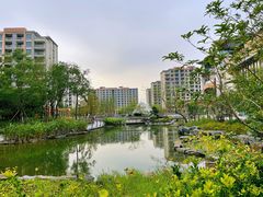 -梧桐人家中国太平国际健康颐养社区