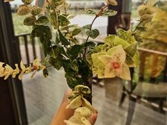 -新木器时代餐厅(太湖新天地店)