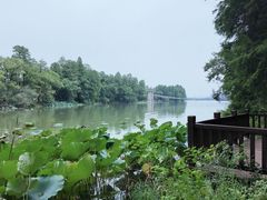 -东湖落雁景区