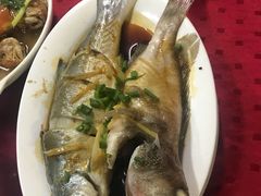 -蛇口康乐快餐鱼仔档(翠苑小区店)