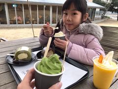 -雪绿茶博物馆