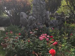 -北京市劳动人民文化宫(太庙)