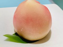 -青山研究所Aoyama Lab