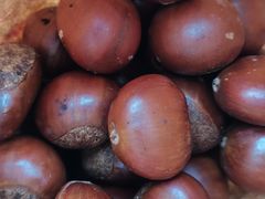 -秋栗香(地安门店)