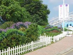 -紫颐香薰山谷景区