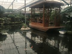-汤山翠谷生态餐厅