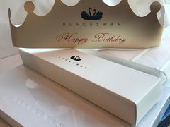 -BLACKSWAN黑天鹅(环球店)