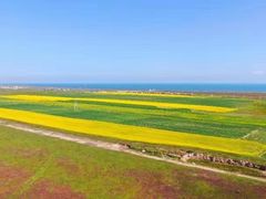 -青海湖国家重点风景名胜区