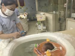 -祥馨月子会所(莞城店)