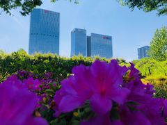 -白塘生态植物园